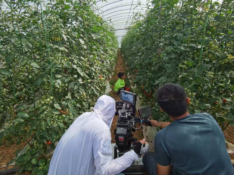 五华区产品宣传视频拍摄公司进阶指南，助力品牌抢占传播高地